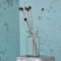 Society of Lifestyle 208751010 vaas Cilindervormige vaas Glas - thumbnail