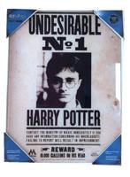 Harry Potter Glass Poster Undesirable No. 1 30 x 40 cm - thumbnail
