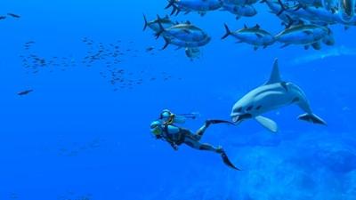 Endless Ocean Luminous