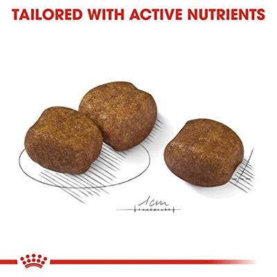 Royal Canin Dental Care Maxi hondenvoer 2 x 9 kg Royal Canin Dental Care Maxi hondenvoer 2 x 9 kg