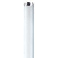 Osram T8 Lumilux 18W - 880 SkyWit | 60cm