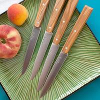 Opinel N°125 Bon Appétit Sud Tafelmessenset - 4-delig - Olijfhout - thumbnail