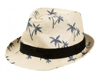 Trilby Zomerhoed Palmbomen