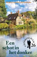 Een schot in het donker - Matthew Costello, Neil Richards - ebook - thumbnail