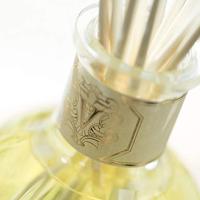 Dr. Vranjes Ginger Lime Fragranza D'Ambiente Fragrance Sticks 250ml - thumbnail