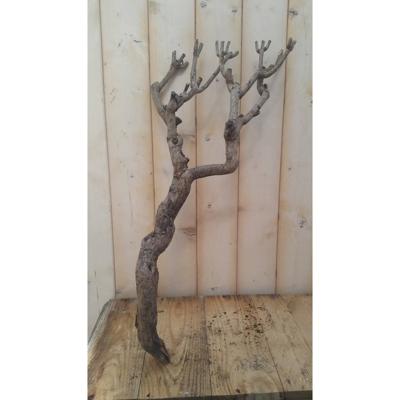 Decoratie tak klein 20 tot 30 cm Warentuin Natuurlijk - Warentuin natuurlijk Decoratie tak klein 20 tot 30 cm Warentuin Natuurlijk - Warentuin natuurlijk