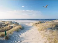 Buitencanvas strand/meeuw 78x58 cm Anna's Collection - Annas collection - thumbnail