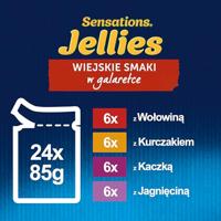 Purina Kattenvoer Kip Rundvlees Lam Eend 24 x 85g - thumbnail