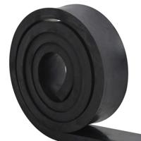 VidaXL Rubberen rand voor sneeuwploeg 300x10x2 cm zwart - thumbnail