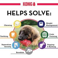 KONG SENIOR PAARS LARGE 10,5X7X7 CM - thumbnail