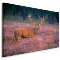 Schilderij - Hert op de Heide, Premium Print, 5 maten - thumbnail