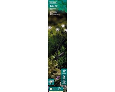 Solar Tuinsteker Bloem 6 LED 70cm WW