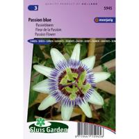 Passiebloem bloemzaden – Passion Blue - thumbnail