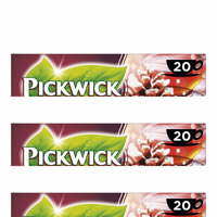 Pickwick - Professional Wintergloed - 75x 2g - thumbnail