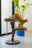 Designed by Lotte Aviva Krabmeubel - thumbnail