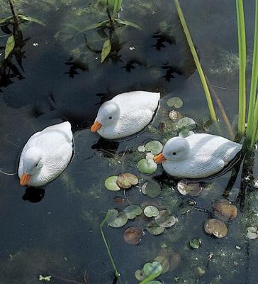Acqua Arte vijverfiguur Eendenkuiken wit