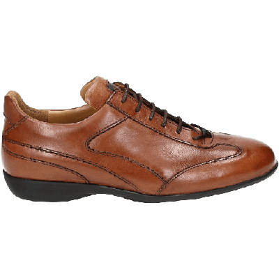 Van Bommel 16300 - alle