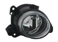 Mistlamp links 1911032019 - thumbnail