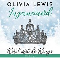 Ingesneeuwd - thumbnail