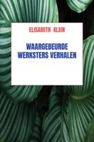 Waargebeurde werkster verhalen - Elisabeth Klein - ebook - thumbnail
