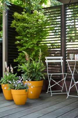 Elho Vibia Campana bloempot rond 40 cm honinggeel