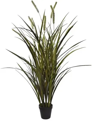 Pure Royal gras 104cm groen