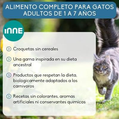 Nutrivet Inne Cat Adult vis kattenvoer 6 kg