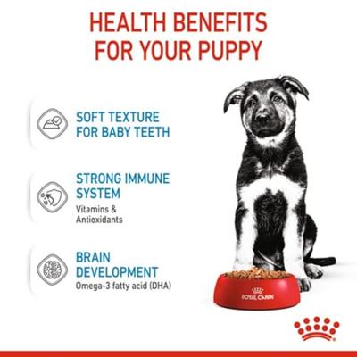Royal Canin Maxi Puppy hondenvoer Natvoer (10x140g) - thumbnail