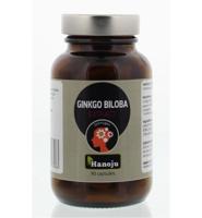 Ginkgo biloba extract 90 Capsules - thumbnail
