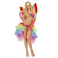 Veren vleugels regenboog 60cm - thumbnail