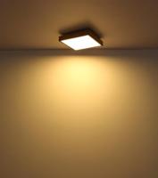 Globo Dimbare led plafondlampDoro 45x45cm - 416080WD2-CCT - thumbnail