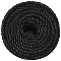 VidaXL Werktouw 12 mm 25 m polypropeen zwart - thumbnail