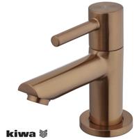 Wiesbaden Amador Fonteinkraan - Toiletkraan - Koudwaterkraan - Kiwa - 1/2 - Geborsteld Brons Koper - thumbnail