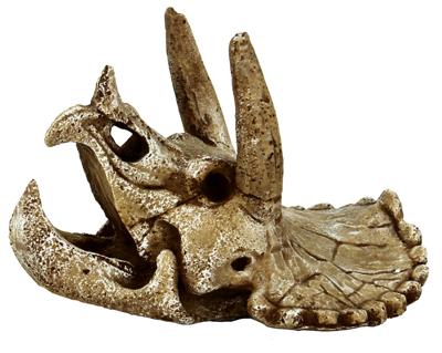 Superfish Skull Triceratops M - Prehistorische Decoratie en Veilige Schuilplaats voor Aquarium - thumbnail