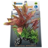 Deco plant l henkelianus - thumbnail