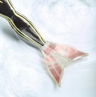 Mermaze mermaidz core fashion doll S1- Jordie - thumbnail