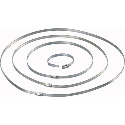 Conrad Components 546573 Kabelbinder 127 mm 4.60 mm Zilver 10 stuk(s)