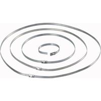 Conrad Components 546573 Kabelbinder 127 mm 4.60 mm Zilver 10 stuk(s) - thumbnail