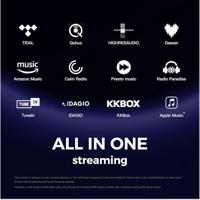 EverSolo: DMP-A6 Streamer - thumbnail