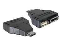 eSATA naar eSATA/USB converter - thumbnail