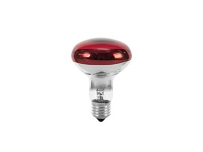Eurolite 9210360U Halogeen-lamp E27 Reflector 60 W Rood 1 stuk(s)