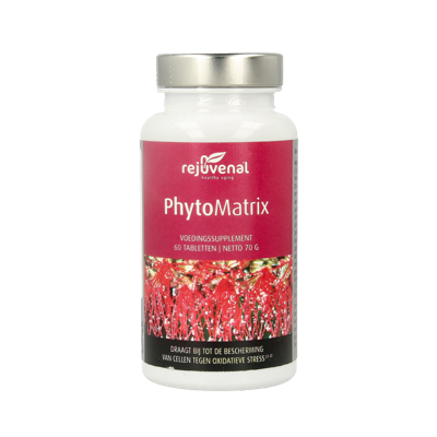 Phytomatrix 60 Tabletten