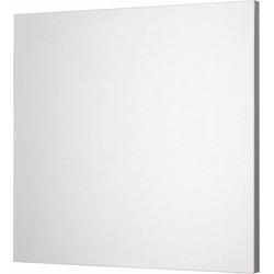 Saqu Pripio Spiegel met Schakelaar 60x3,5x75 cm Saqu Pripio Spiegel met Schakelaar 60x3,5x75 cm