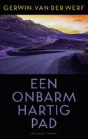 Een onbarmhartig pad - Gerwin van der Werf - ebook - thumbnail