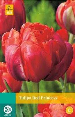 Tulp Red Princess 5 bollen