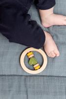 Trixie houten rammelaar - mr. dino - thumbnail