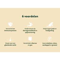 Dogsuppy Probiotica Forte Poeder - thumbnail