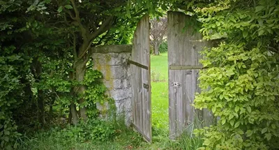 Alexsar Art Tuinschilderij houten deur 130x70cm