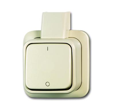 Busch Jaeger opbouw 2-polige schakelaar creme