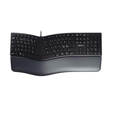 CHERRY KC 4500 ERGO toetsenbord Universeel USB QWERTY Scandinavisch Zwart